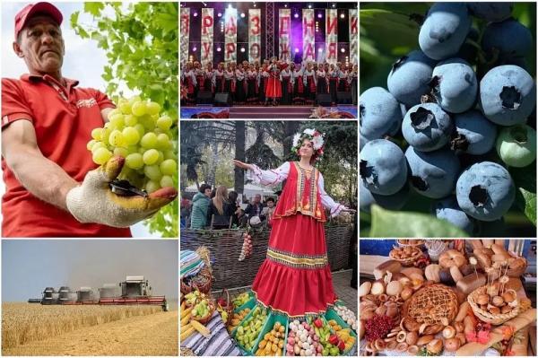 Праздник урожая: в чем сила кубанских аграриев
Праздник урожая: в чем сила кубанских аграриев