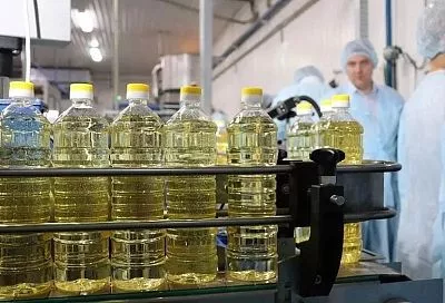 Праздник урожая: в чем сила кубанских аграриев
Праздник урожая: в чем сила кубанских аграриев