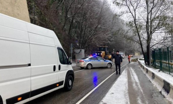 В Сочи упавшее на трассу дерево полностью перекрыло проезд на Красную Поляну В Сочи упавшее на трассу дерево полностью перекрыло проезд на Красную Поляну