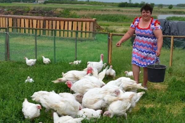 Когда хутор при деле: в экономике Кубани доля продукции малых форм хозяйствования выше, чем по стране
Когда хутор при деле: в экономике Кубани доля продукции малых форм хозяйствования выше, чем по стране
