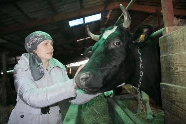 Когда хутор при деле: в экономике Кубани доля продукции малых форм хозяйствования выше, чем по стране
Когда хутор при деле: в экономике Кубани доля продукции малых форм хозяйствования выше, чем по стране