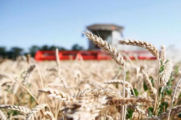 Кубанская компания по оптовой торговле сельхозпродукцией присоединилась к национальному проекту «Производительность труда»
Кубанская компания по оптовой торговле сельхозпродукцией присоединилась к национальному проекту «Производительность труда»