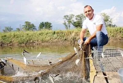 Лучшие в своем деле: Кубань отмечает День животновода
Лучшие в своем деле: Кубань отмечает День животновода