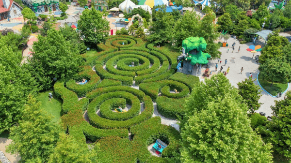 В Сочи впервые пройдет экофестиваль
