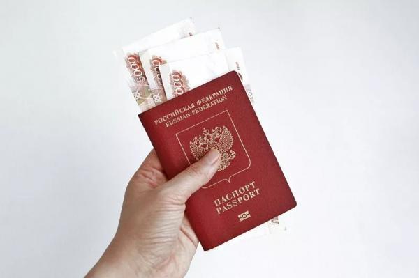 Майские выплаты пенсий и пособий: власти отрицают досрочную доставку
Майские выплаты пенсий и пособий: власти отрицают досрочную доставку