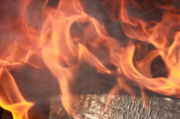 В Апшеронске локализовали пожар площадью в одну тысячу кв. метров
В Апшеронске локализовали пожар площадью в одну тысячу кв. метров