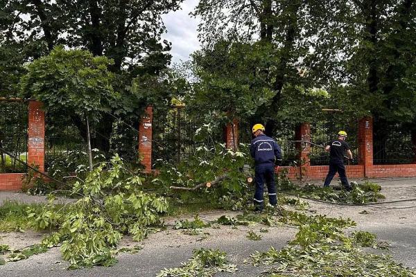 В краснодарскую Службу спасения поступило более 50 заявок от горожан
В краснодарскую Службу спасения поступило более 50 заявок от горожан