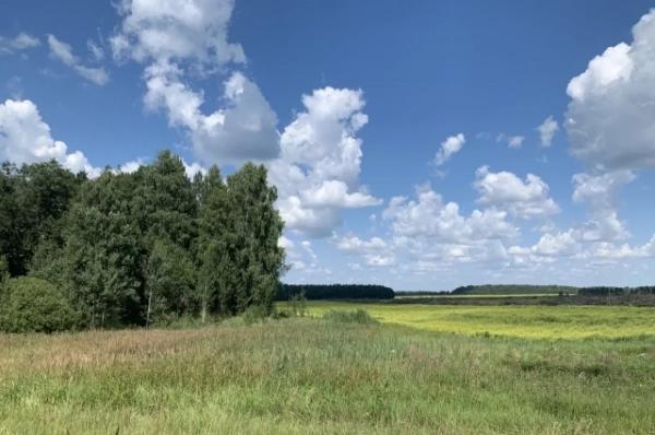 
Вильфанд спрогнозировал погоду в Краснодарском крае на этой неделе    
