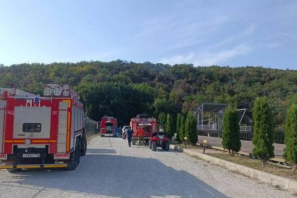 
Лес загорелся неподалеку от Кипарисового озера в анапском селе Сукко                    