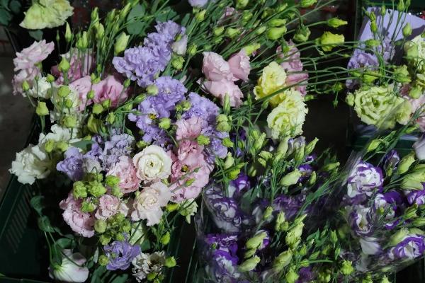 От поля до цветника: нестандартный бизнес кубанских аграриев
От поля до цветника: нестандартный бизнес кубанских аграриев