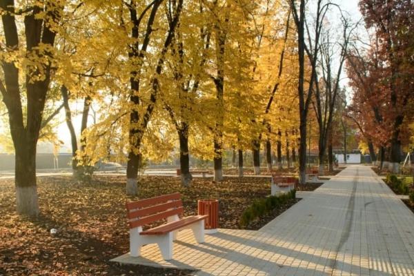 В Краснодарском крае в ближайшие дни ожидается похолодание
В Краснодарском крае в ближайшие дни ожидается похолодание