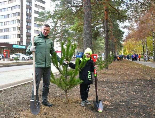 
В Горячем Ключе на Аллее тысячи сосен высадили сотню молодых деревьев                    