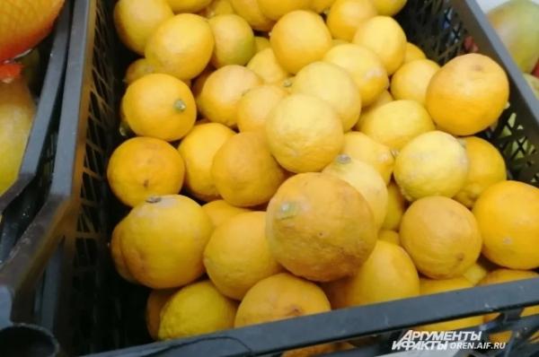 В Новороссийске задержали крупную партию турецких лимонов из-за вредителя
В Новороссийске задержали крупную партию турецких лимонов из-за вредителя