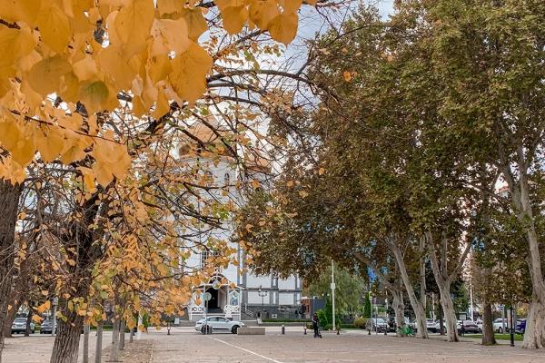 
В Краснодарском крае 12 ноября воздух прогреется до +16 градусов    