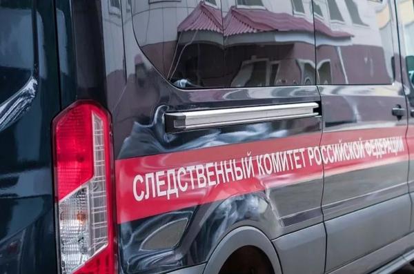 
Заморившая голодом своего новорожденного ребенка женщина пойдет под суд в Адыгее                    
