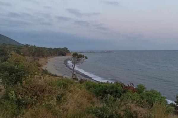 Пятна в море. Чем грозит разлив мазута после ЧП с танкерами?
Пятна в море. Чем грозит разлив мазута после ЧП с танкерами?