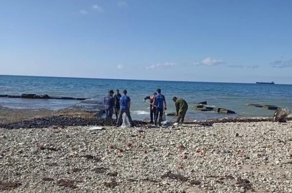 Пятна в море. Чем грозит разлив мазута после ЧП с танкерами?
Пятна в море. Чем грозит разлив мазута после ЧП с танкерами?