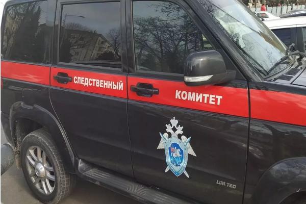 
СК проверит информацию об избиении трехлетнего мальчика матерью на Кубани                    