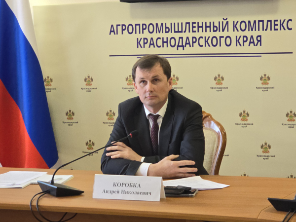 В 2025 году в Краснодарском крае нарастят долю использования отечественных семян В 2025 году в Краснодарском крае нарастят долю использования отечественных семян