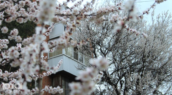 До +31 &deg;С тепла. Узнали погоду в Краснодарском крае в выходные