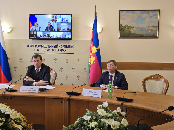 В 2025 году в Краснодарском крае нарастят долю использования отечественных семян В 2025 году в Краснодарском крае нарастят долю использования отечественных семян