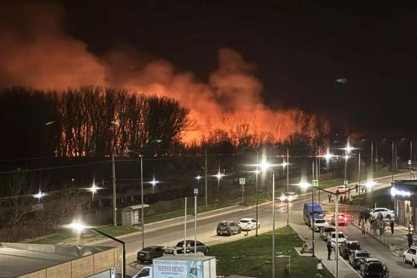 
В Краснодаре горит лесопарк                    