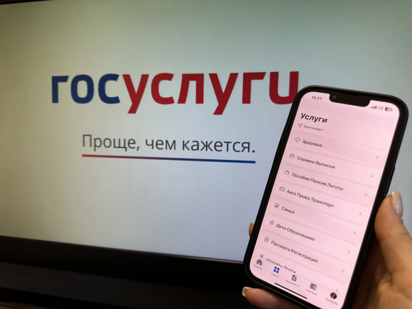 &laquo;Госуслуги&raquo; будут блокировать разделы с финансовой информацией в случае подозрительной активности