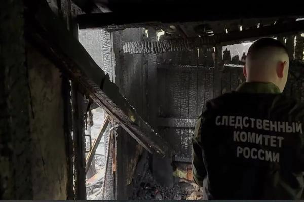 
Ребенок и мужчина заживо сгорели в частном доме в Сочи                    
