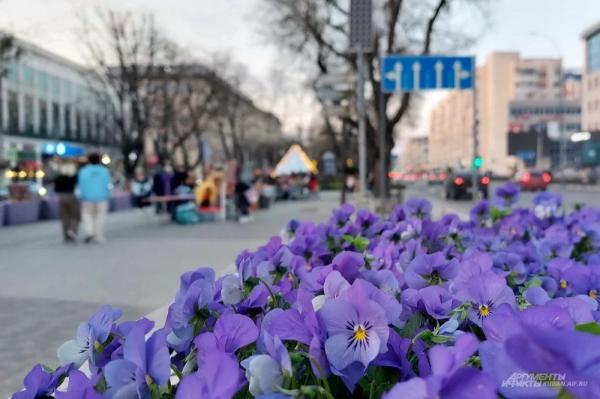 В Краснодарский край пришло летнее тепло
В Краснодарский край пришло летнее тепло