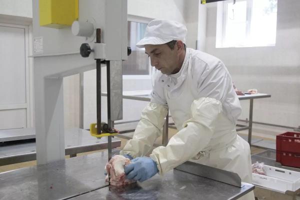 
На молоке и мясе: кубанский агросектор увеличивает прибыльность животноводства                    