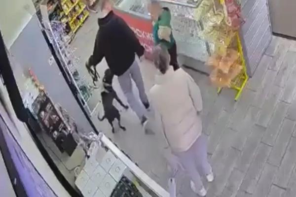 Собака напала на 7-летнего мальчика в одном из магазинов Краснодара
Собака напала на 7-летнего мальчика в одном из магазинов Краснодара