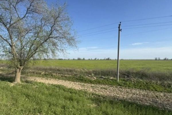 
Тело жителя Краснодара нашли на обочине дороги в Ставропольском крае                    