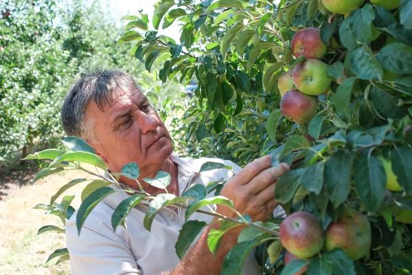 Одна семья – одно дело: как фермеры Лабинского района расширяют свой бизнес
Одна семья – одно дело: как фермеры Лабинского района расширяют свой бизнес