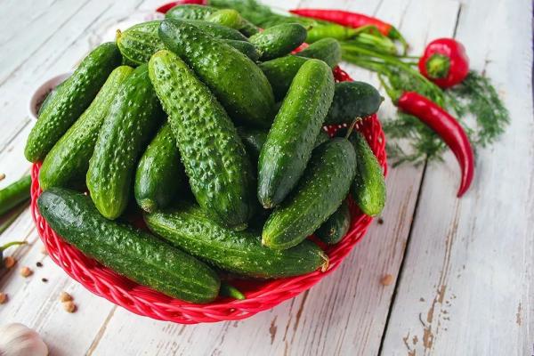 
Почему плохо растут огурцы: 7 ошибок на грядке и как я спас урожай по совету Кизимы &mdash; теперь плети радуют, а огурцы целыми ваннами                    