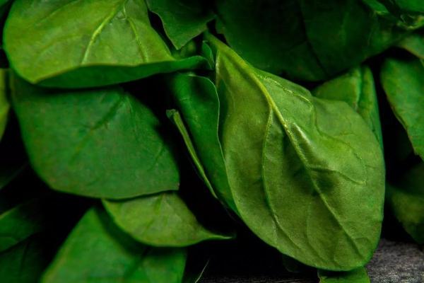 Щавель в рассоле для зеленого борща на зиму - чтобы наслаждаться вкусом любимого блюда круглый год, лучше заготовить листья впрок
Щавель в рассоле для зеленого борща на зиму - чтобы наслаждаться вкусом любимого блюда круглый год, лучше заготовить листья впрок
