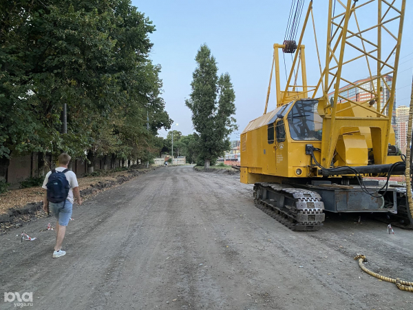 В Краснодаре вырубят более 1,1 тыс. деревьев для строительства развязки между Володарского и Шевченко. Посмотрели на них в последний раз В Краснодаре вырубят более 1,1 тыс. деревьев для строительства развязки между Володарского и Шевченко. Посмотрели на них в последний раз