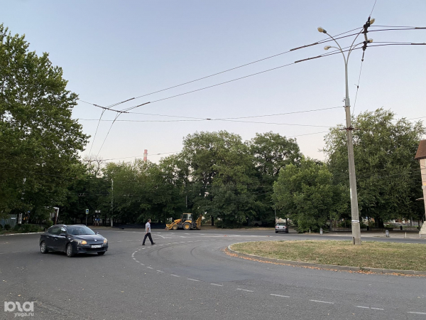 В Краснодаре вырубят более 1,1 тыс. деревьев для строительства развязки между Володарского и Шевченко. Посмотрели на них в последний раз В Краснодаре вырубят более 1,1 тыс. деревьев для строительства развязки между Володарского и Шевченко. Посмотрели на них в последний раз