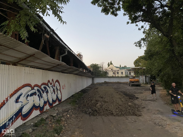В Краснодаре вырубят более 1,1 тыс. деревьев для строительства развязки между Володарского и Шевченко. Посмотрели на них в последний раз В Краснодаре вырубят более 1,1 тыс. деревьев для строительства развязки между Володарского и Шевченко. Посмотрели на них в последний раз