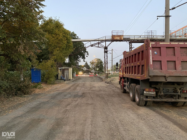 В Краснодаре вырубят более 1,1 тыс. деревьев для строительства развязки между Володарского и Шевченко. Посмотрели на них в последний раз В Краснодаре вырубят более 1,1 тыс. деревьев для строительства развязки между Володарского и Шевченко. Посмотрели на них в последний раз