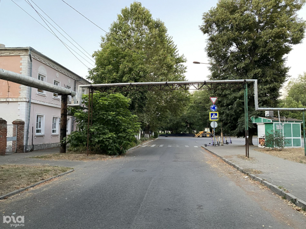 В Краснодаре вырубят более 1,1 тыс. деревьев для строительства развязки между Володарского и Шевченко. Посмотрели на них в последний раз В Краснодаре вырубят более 1,1 тыс. деревьев для строительства развязки между Володарского и Шевченко. Посмотрели на них в последний раз