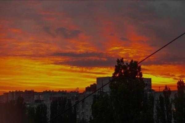 
Над Краснодарским краем в ночь на 2 августа сбили 31 беспилотник ВСУ    
