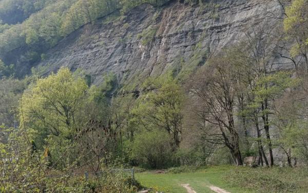 Урочище Поднависла в Краснодарском крае: почему его стоит посетить туристам 