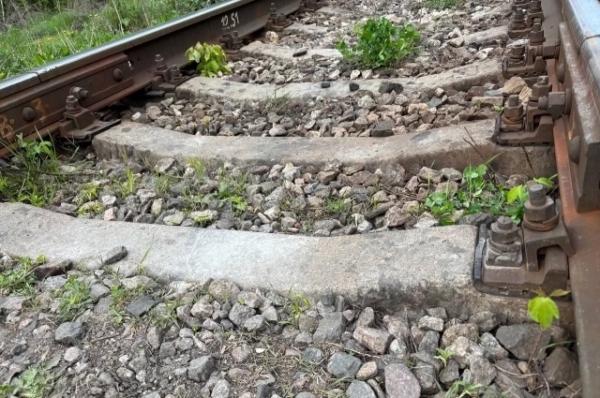 На Кубань задерживаются поезда из-за ЧП в Воронежской области
На Кубань задерживаются поезда из-за ЧП в Воронежской области