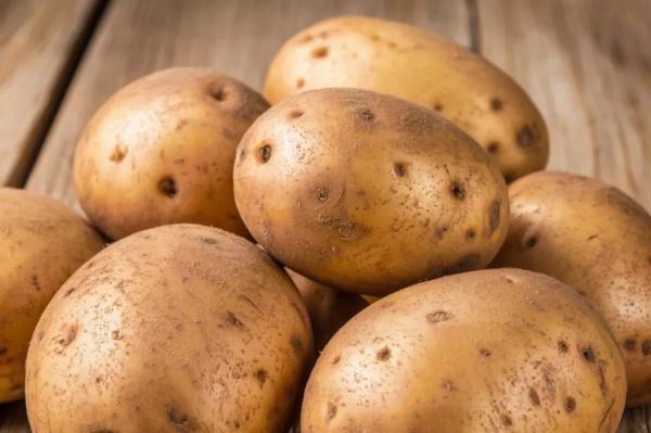 Картофель «Стоун»: урожай мешками и вкус, за который его полюбили хозяйки
Картофель «Стоун»: урожай мешками и вкус, за который его полюбили хозяйки