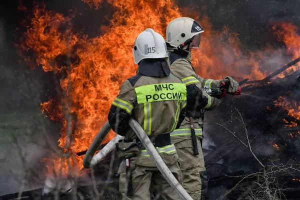 
В Ейске вспыхнул пожар на территории зоопарка                     