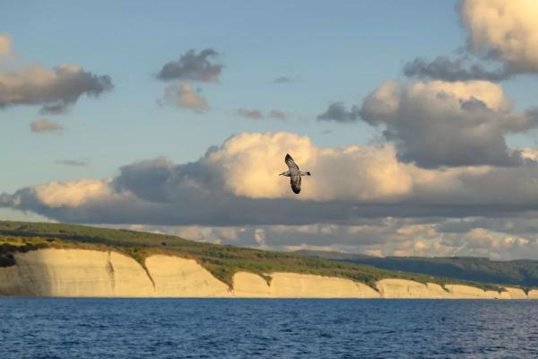 
Температура Черного моря на всем побережье Краснодарского края сравнялась                    