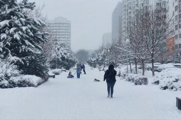 
На выходных в Краснодарском крае ожидается холод, снег и ветер    