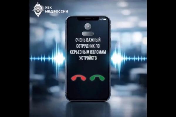 
В полиции Кубани рассказали про упрямство мошенников    