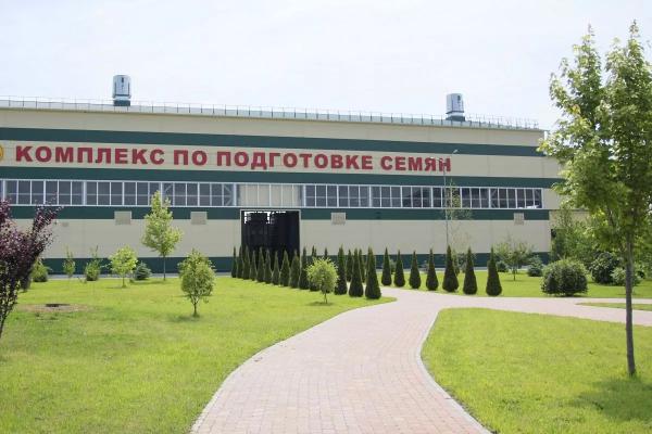 
Зерновой суверенитет: кубанские аграрии добились прорыва в семеноводстве                    