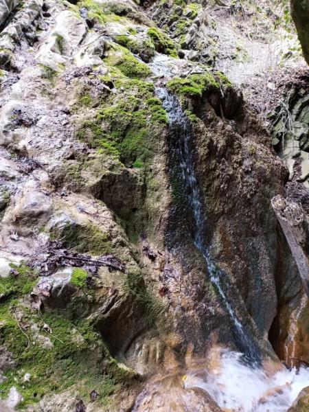 Гебиусские водопады: одни из самых доступных на Кубани для отдыха семьей Гебиусские водопады: одни из самых доступных на Кубани для отдыха семьей
